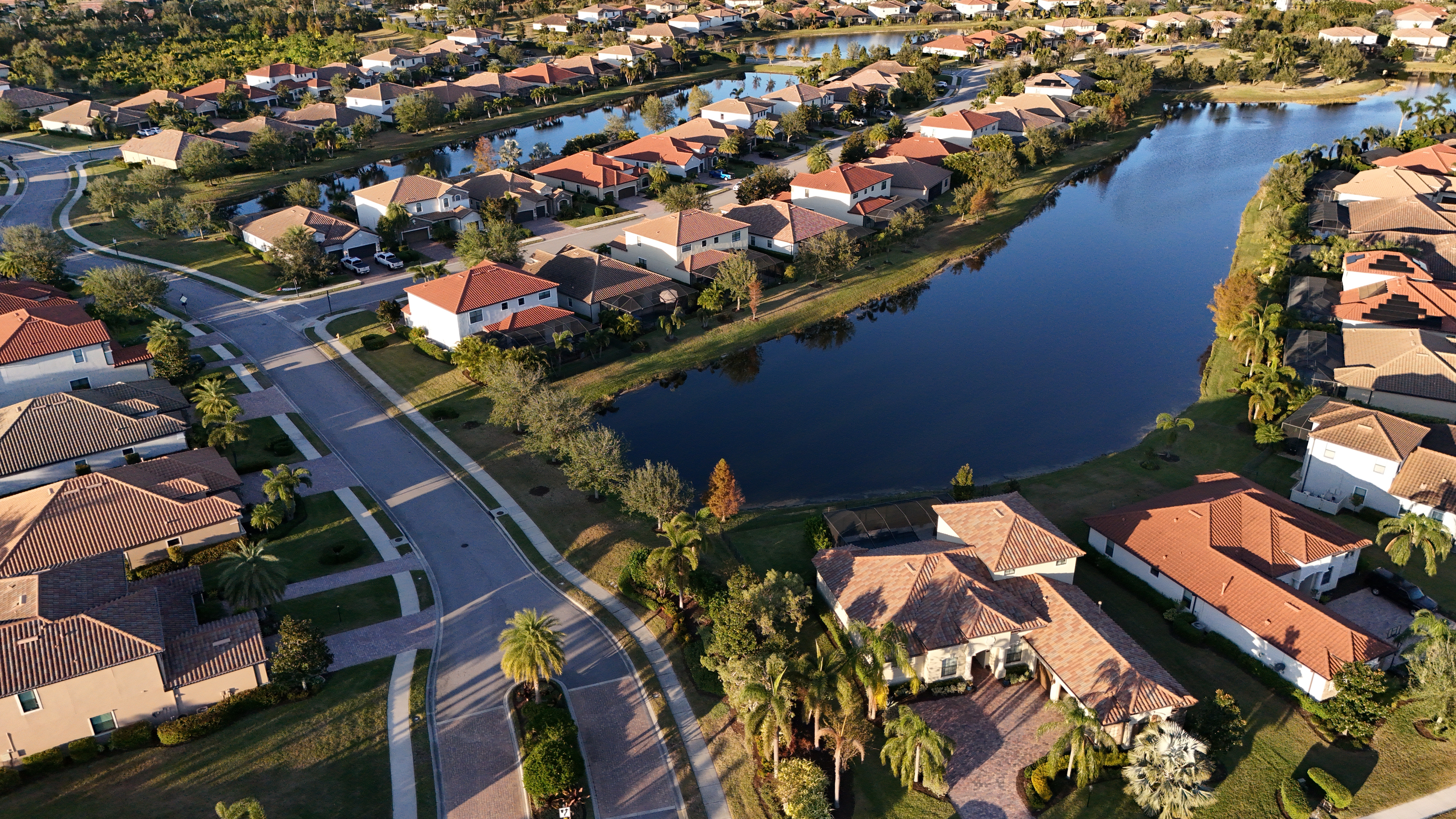 Top Local Pest Control Companies Reviewed